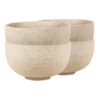 Alchemy Noodle Bowls Set Of 4 Fawn -Robert Gordon 866604340 1 720x928