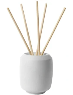 Life On Earth Puk Diffuser With White Tea Scented Sticks In Light Grey